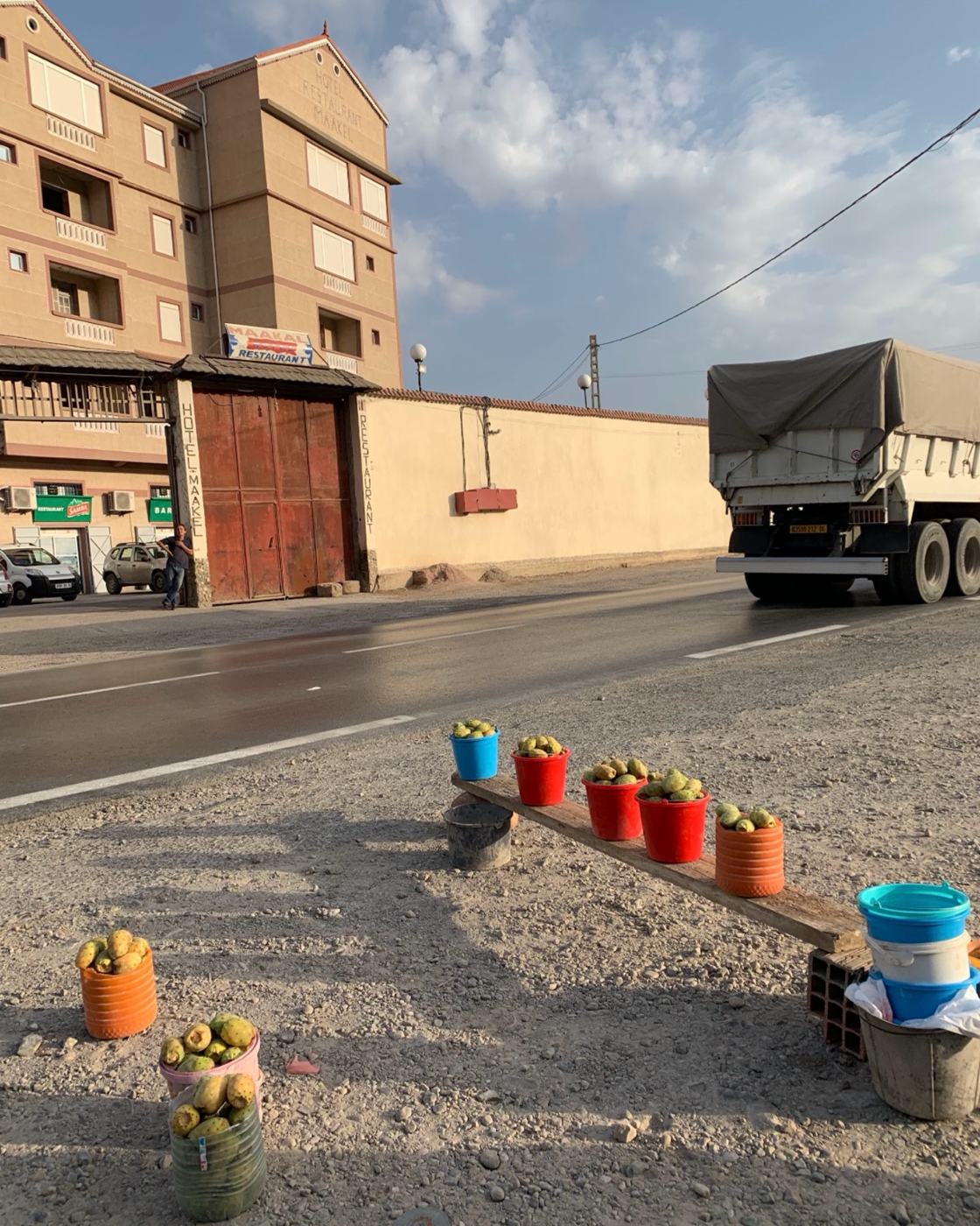 Roadside scene with fruit buckets and buildings in Algeria